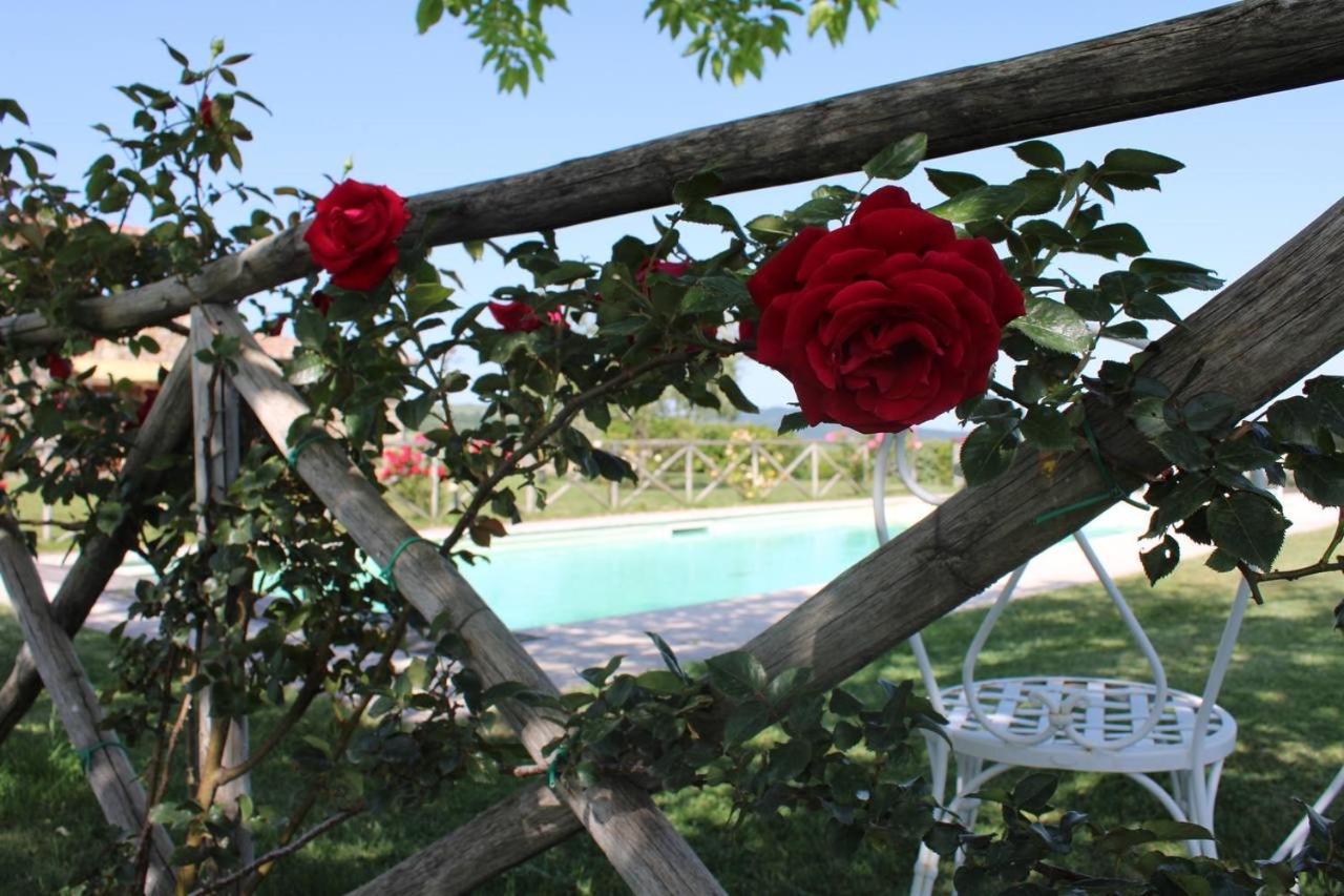 Campiglia dʼOrcia Agriturismo La Paciarellaヴィラ エクステリア 写真