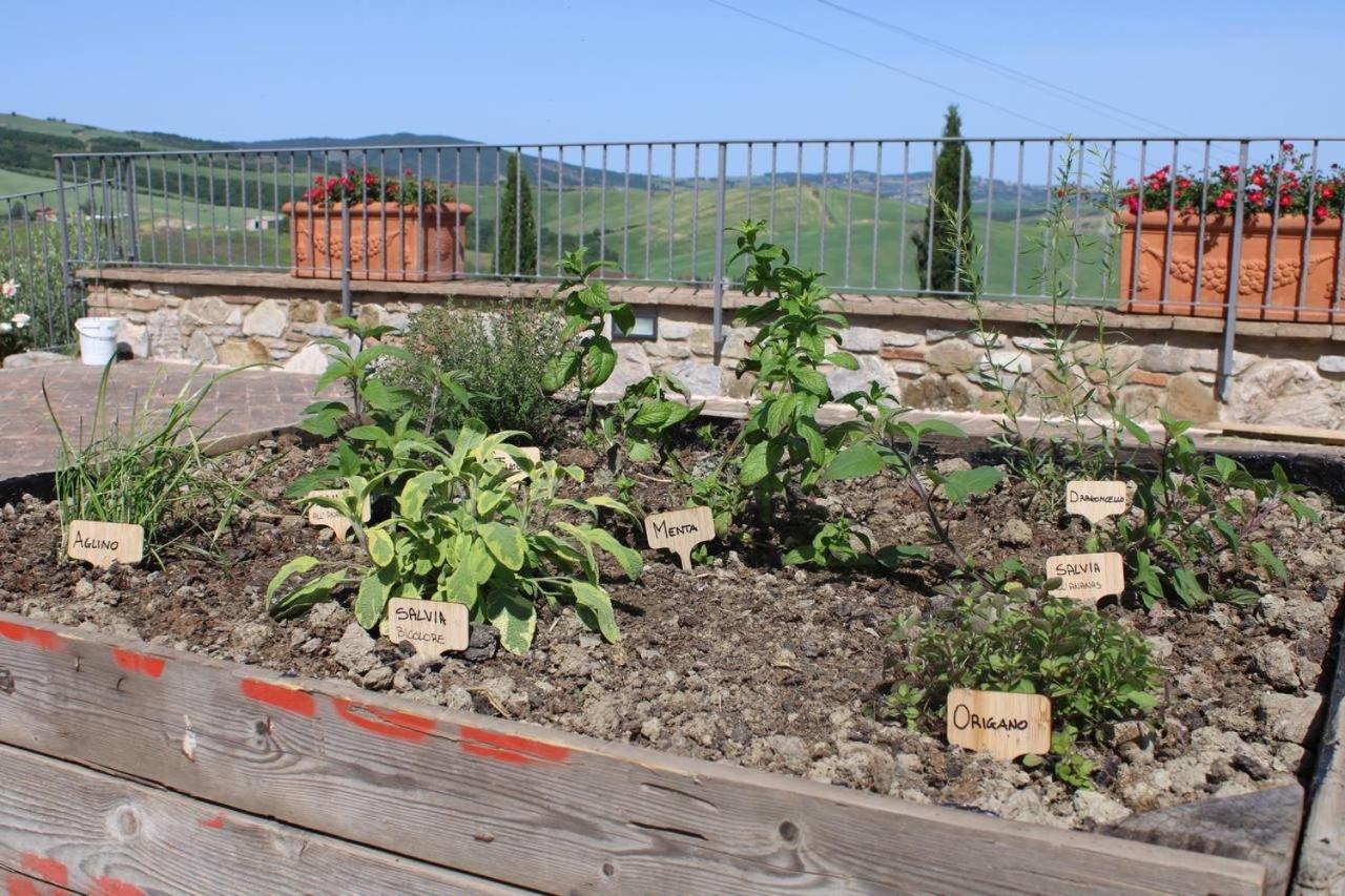 Campiglia dʼOrcia Agriturismo La Paciarellaヴィラ エクステリア 写真