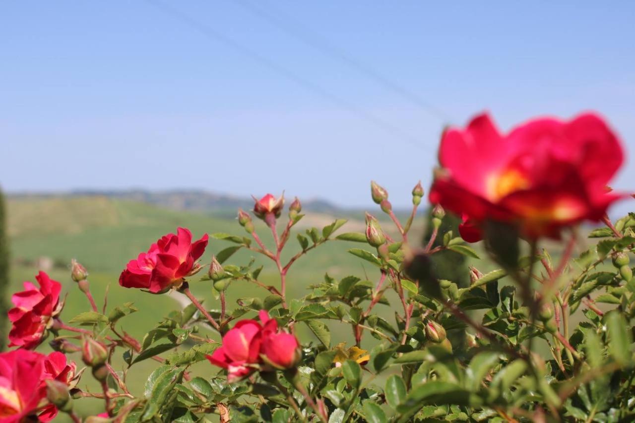 Campiglia dʼOrcia Agriturismo La Paciarellaヴィラ エクステリア 写真